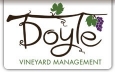 Doyle Vineyard Management