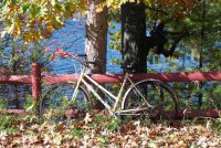 Respite by the Lake