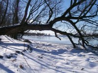 Winter Beach