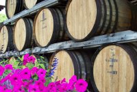 Wine Barrels