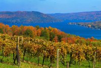 Keuka Harvest