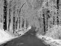 West Bluff Drive in Winter