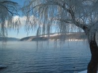 Frosty Morning on Keuka Lake