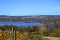 Fall Keuka View