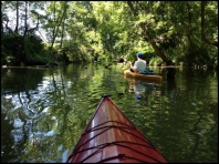 Kayaking - Inlet Branchport