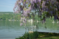 Gold Seal from Corning Landing