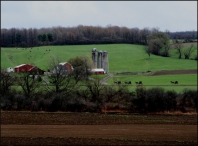 Farm Scene