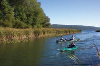 Inlet Canoeing