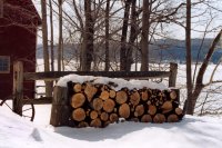 Winter Wood Stock