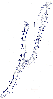 Honeoye Lake Depth Chart