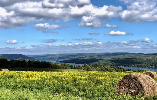 Keuka Lake - Bale